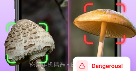 蘑菇标识符v1.11截图