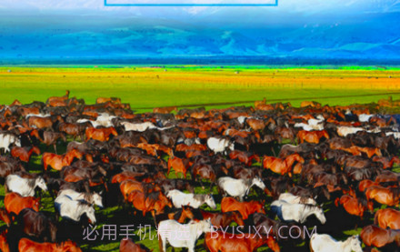 昭苏好地方v1.0.17截图