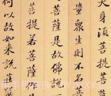 阅读打卡v1.9截图