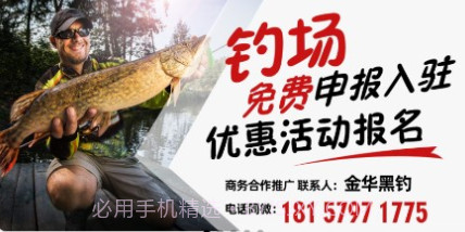 黑钓v1.2.13截图