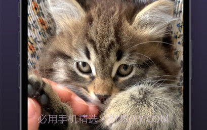 猫动态壁纸v1.11截图