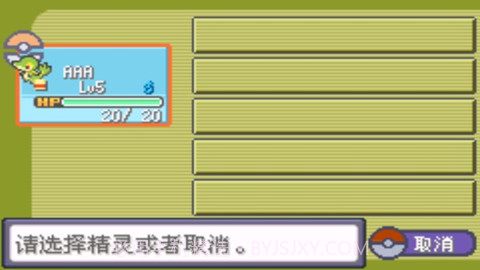 口袋妖怪暗之冰花中文版v3.0.11截图