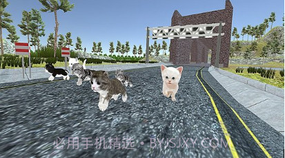 小猫对决v1.13截图