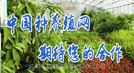 种养殖网v1.19截图