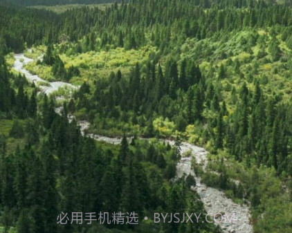 林草督查v1.2.11截图