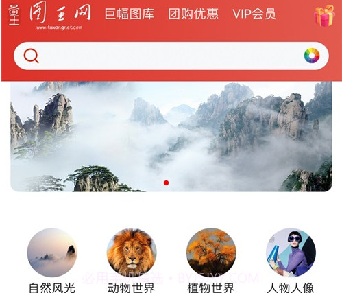 图王网v1.0.11截图