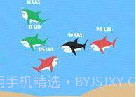 皇家鲨鱼队V1.10截图