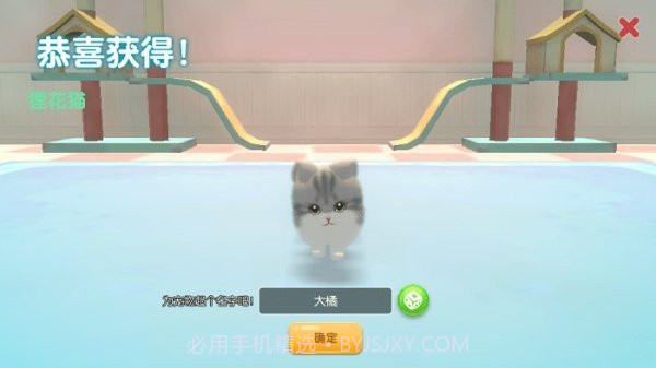 养了个猫无广告版不用实名1.4.2截图