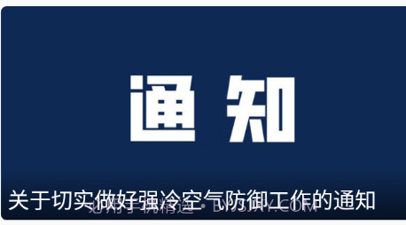 龙港在线v1.0.16截图
