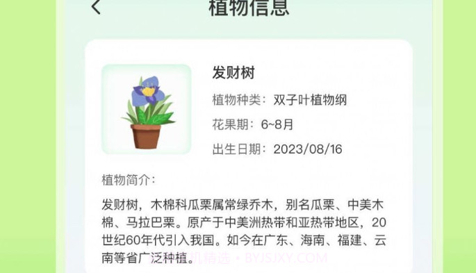 植物天气v1.0.14截图