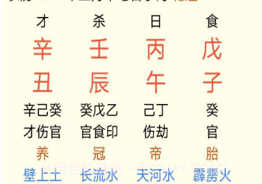 免费八字算命终生详批v1.8截图