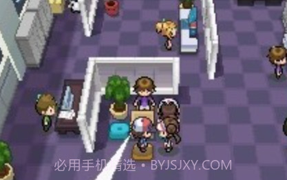 口袋妖怪超透黑2 2.7ndsv2.10截图