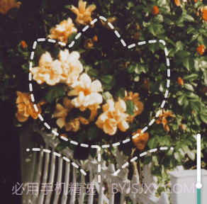 拍照识花君v1.0.14截图