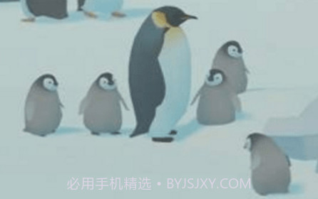 企鹅饲养员v1.14截图