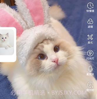 绒语v1.3.15截图