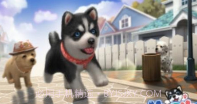梦幻小狗v1.0.18截图
