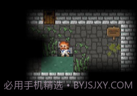 像素地下城 Pixel Dungeonv1.9.8截图