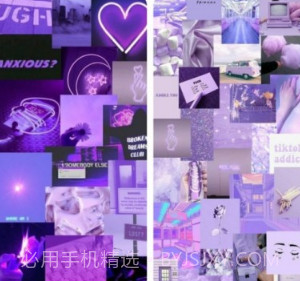 必应每日壁纸v1.13截图