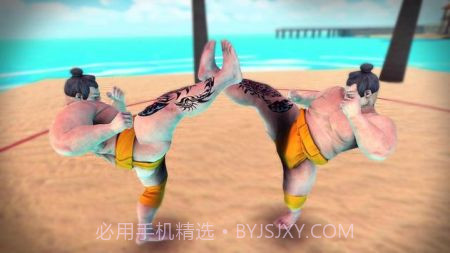 相扑摔跤革命0.4截图