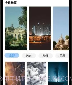 枫叶壁纸v1.0.16截图