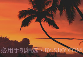 照片水印v 2.31.18截图