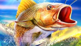 钓鱼王者最新版v1.2.9截图