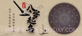 灵瑞起名v1.12截图