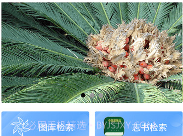 植物智v2.9.12截图