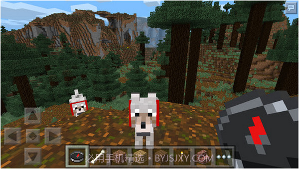 我的世界appv1.17.10.8截图