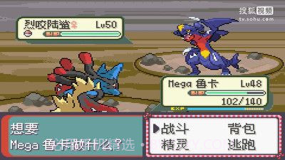 口袋妖怪永恒之沫3.0续版金手指v4.5.10截图