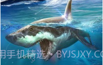 全民钓鱼2链接v2.4.11截图