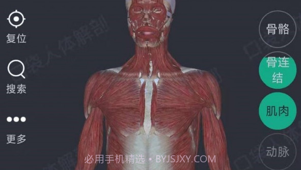 万康人体解剖v3.0.12截图