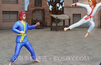 标记队空手道战虎v2.2.13截图
