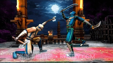 功夫忍者战斗v1.12截图