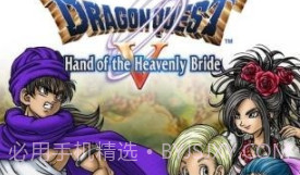 勇者斗恶龙5：天空的新娘最新版v1.2.13截图