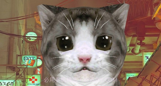 猫咪城市模拟器v1.5v1.12截图