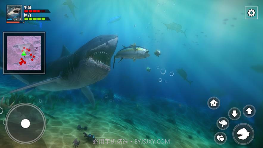3D海底大猎杀-饥饿鲨0.14截图