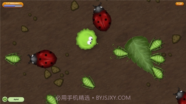 小细菌长大v1.8.0.13截图