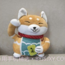 小龙透明屏幕v2.4.10截图