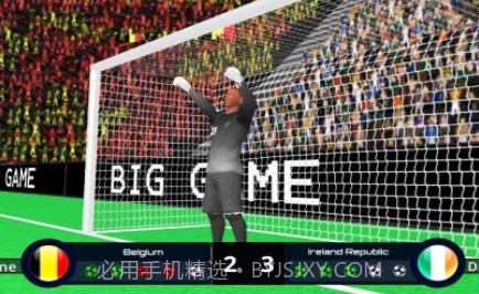 2020年欧洲杯v3.13截图