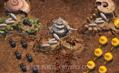 小小蚁国v1.0.13截图