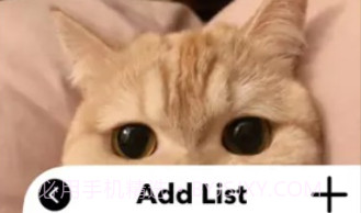 爱猫物语宠物店v1.0.12截图