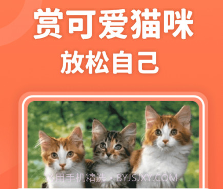 招财进猫v350.17截图