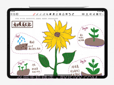 Lionote狮子笔记v1.4.13截图