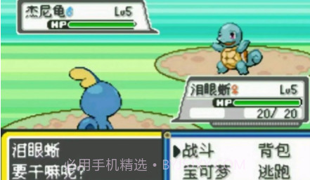 口袋妖怪绝对魂银v1.13截图