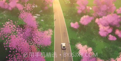 拉力赛艺术v1.19截图