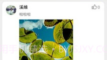 K歌刷粉V2.4.12截图
