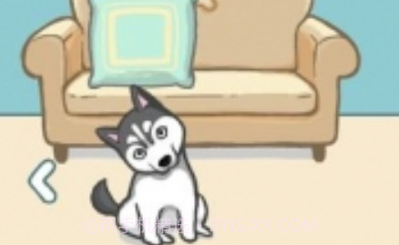 天天躲猫猫番外篇妈妈我想养二哈v1.15截图