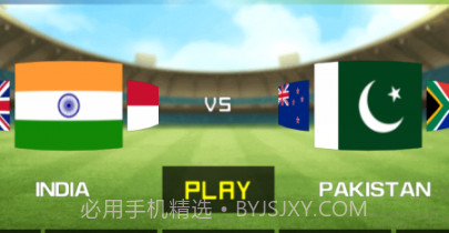 街头板球锦标赛v1.17截图