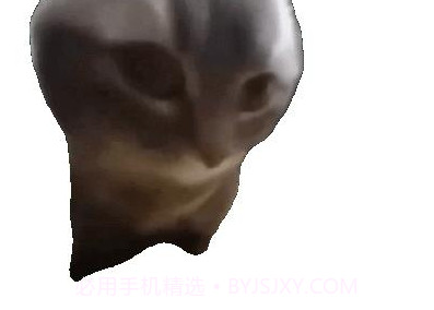 嚼嚼嚼表情包小猫v1.15截图